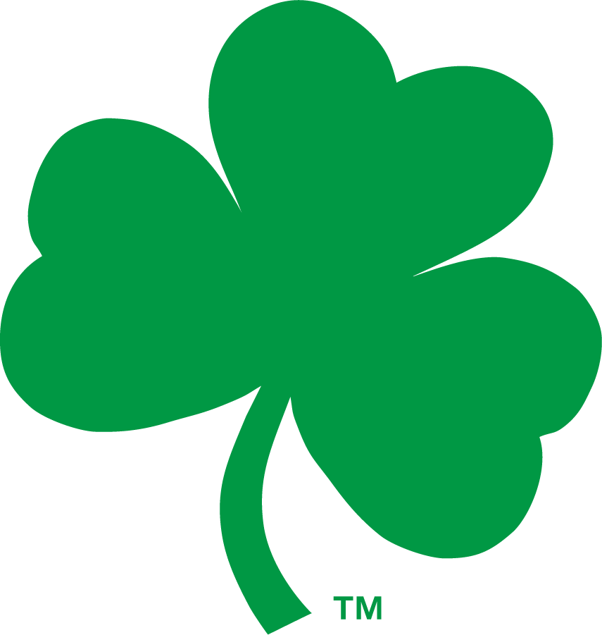 Notre Dame Fighting Irish 2006-2015 Secondary Logo v2 DIY iron on transfer (heat transfer)